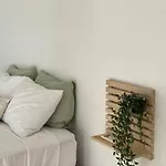 The Olive Ocean
