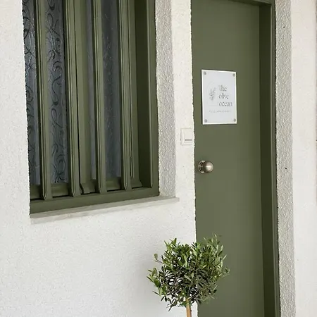 The Olive Ocean * 托隆