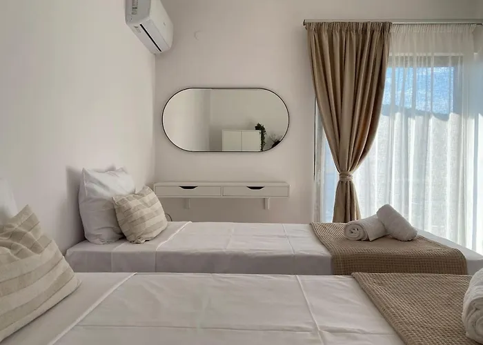 The Olive Ocean Tolón