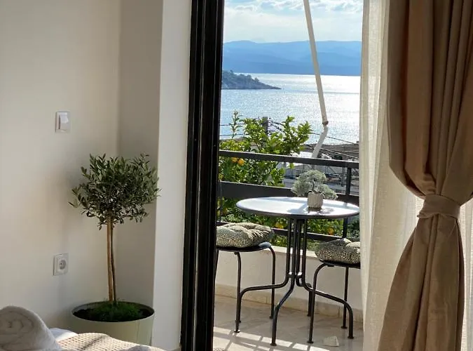 Appartement The Olive Ocean