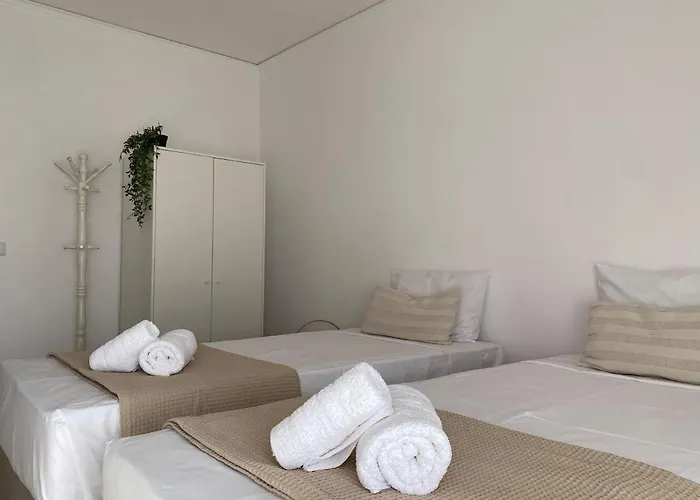 The Olive Ocean Tolón