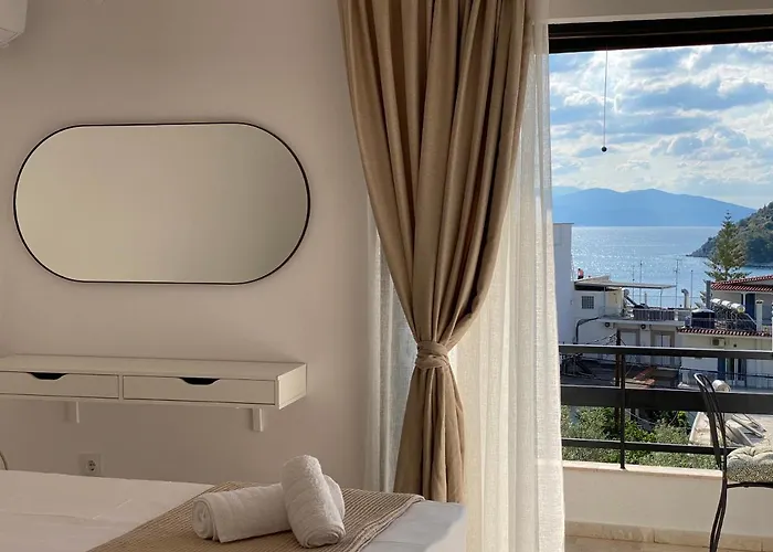 The Olive Ocean * Τολό